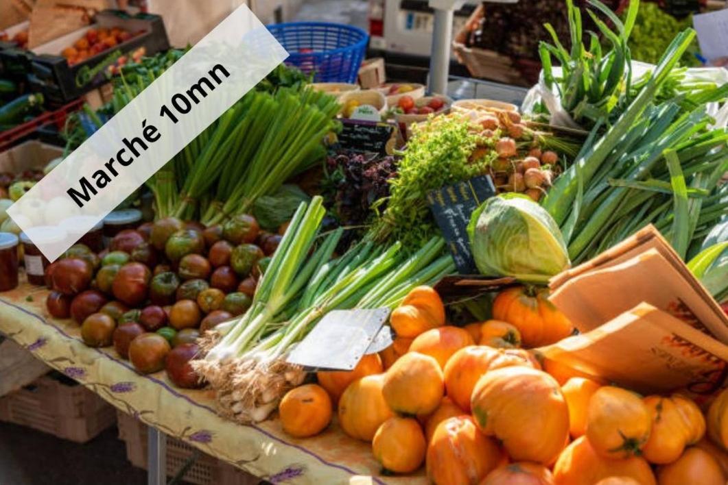 Studio Cosy Neuf - Fibre - Parking Gratuit - Proche Ecoles Et Entreprises Орсе Екстер'єр фото